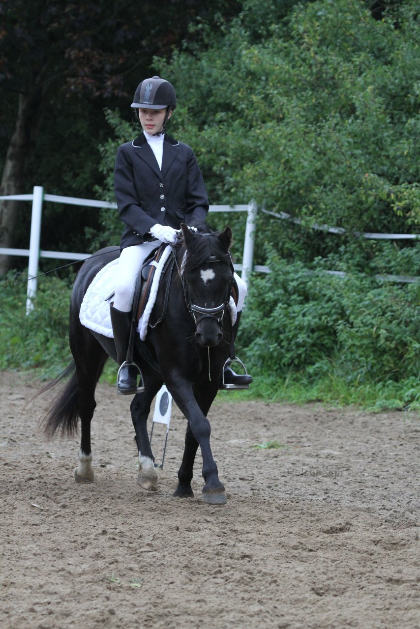 Bild 358 - WBO-Turnier am 18.9.11